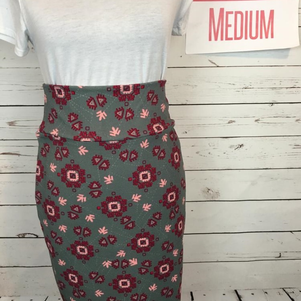 NWT LuLaRoe Cassie Skirt